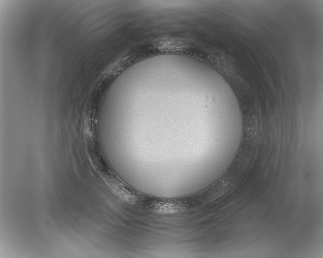 X0000078880755200612042024