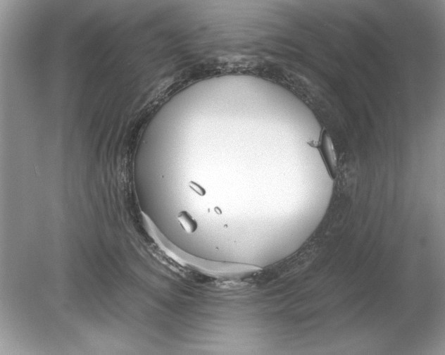 X0000078880756200612042024