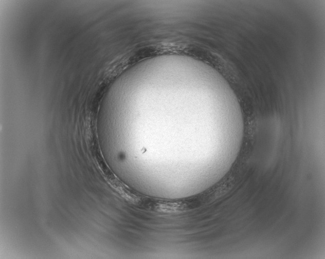 X0000078880757200612042024