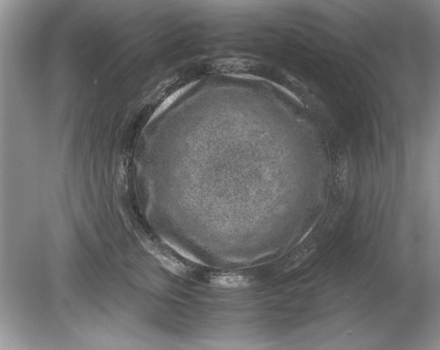 X0000078880759200612042024