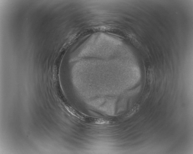 X0000078880760200612042024