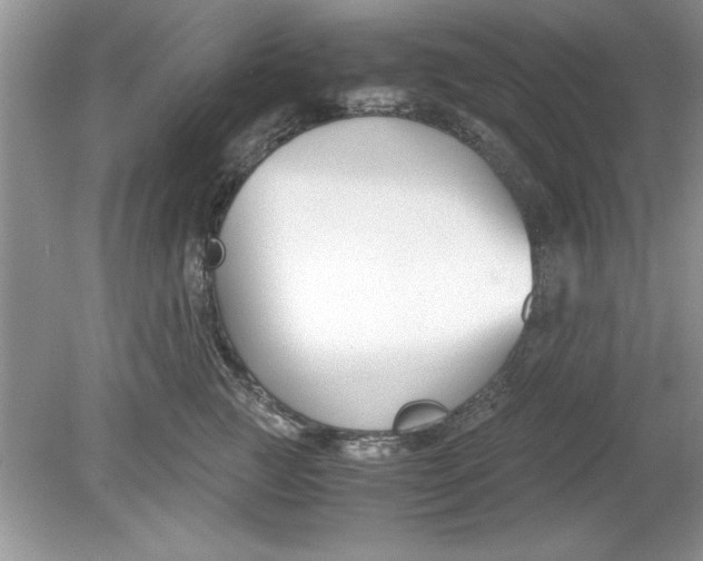 X0000078880761200612042024