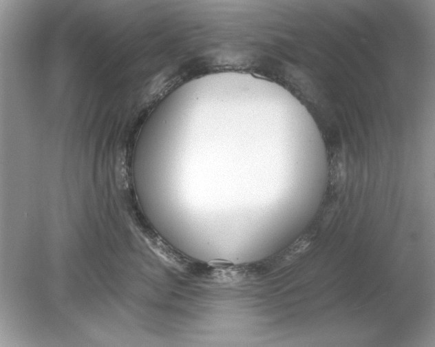 X0000078880764200612042024