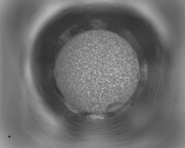 X0000078880765200612042024