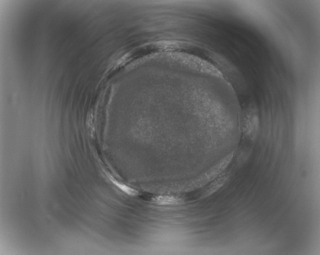 X0000078880766200612042024