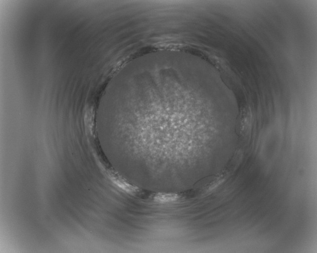 X0000078880767200612042024