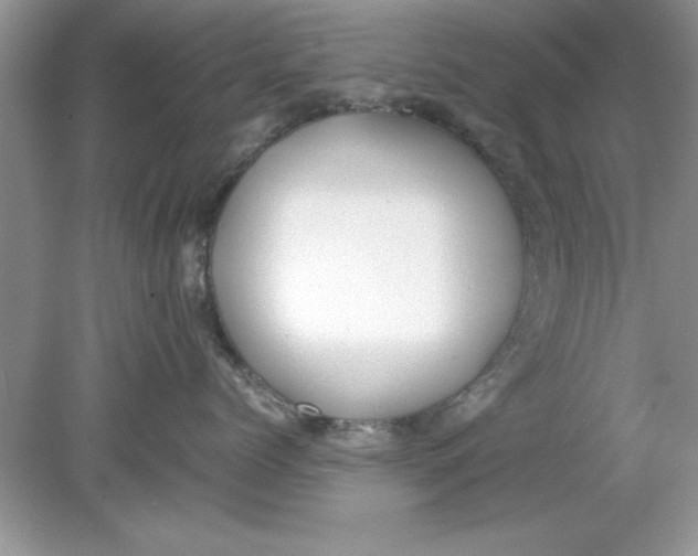 X0000078880768200612042024