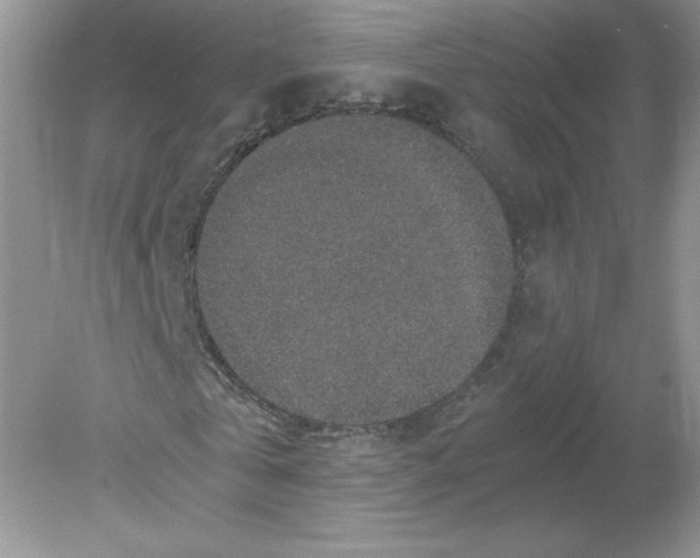 X0000078880769200612042023