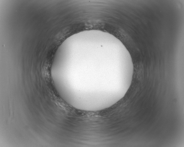 X0000078880770200612042023