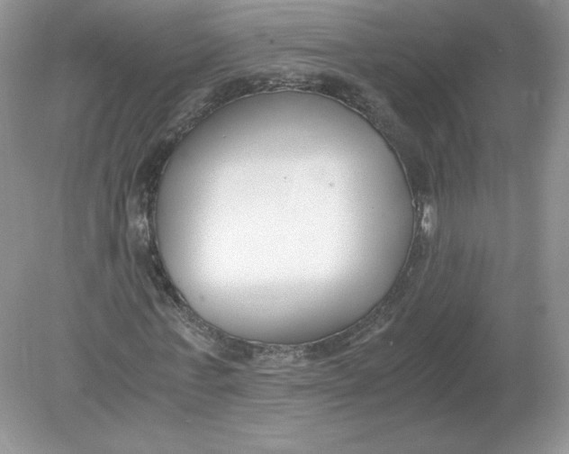 X0000078880771200612042023