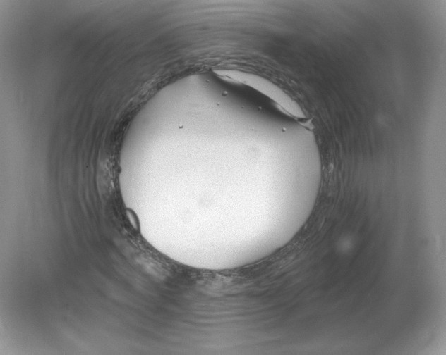 X0000078880772200612042023