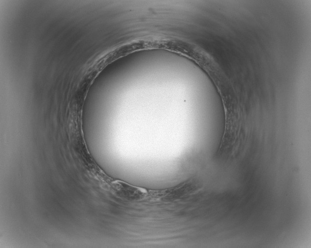 X0000078880773200612042023