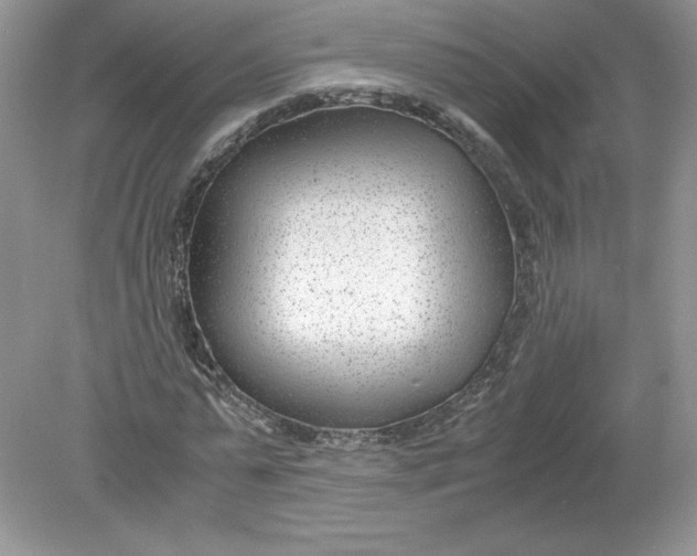 X0000078880775200612042023