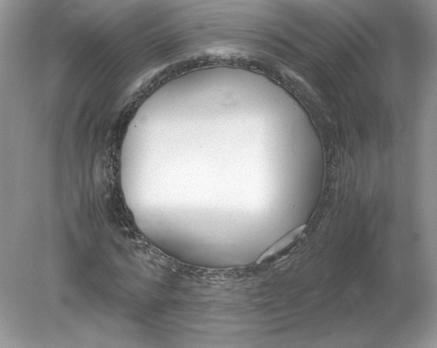 X0000078880776200612042023