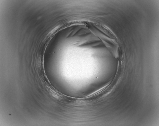 X0000078880777200612042023