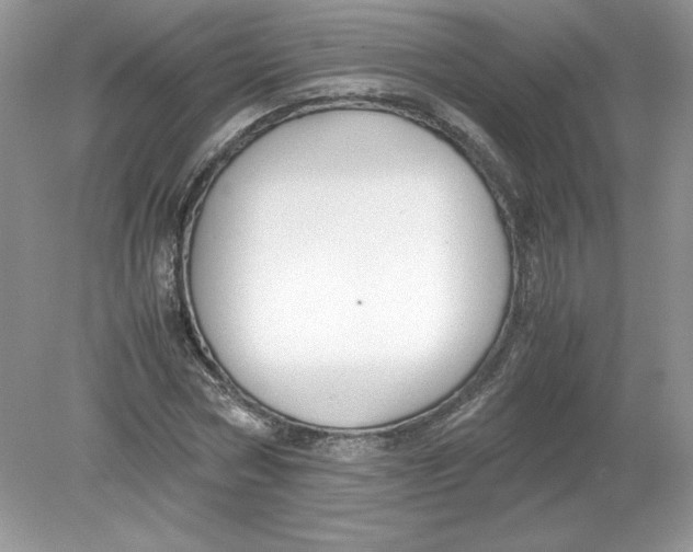 X0000078880778200612042023