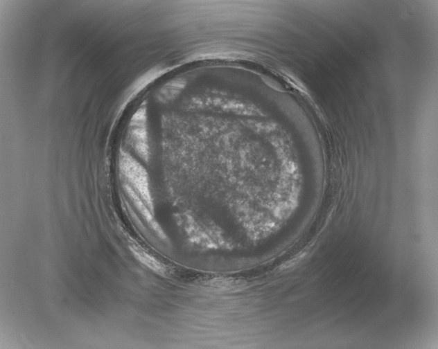 X0000078880779200612042023