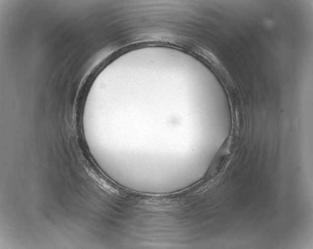 X0000078880780200612042023