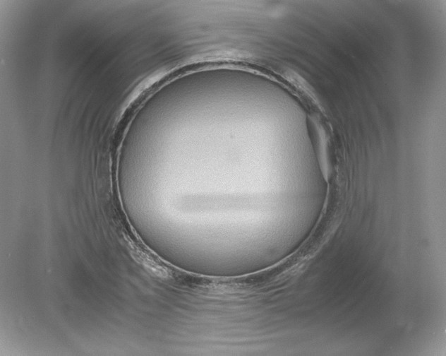 X0000078880781200612042023