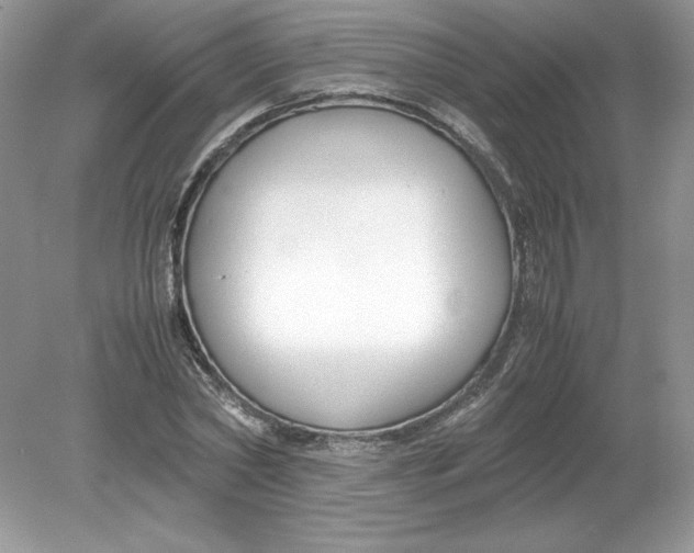 X0000078880782200612042023