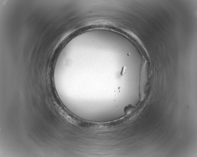 X0000078880783200612042023