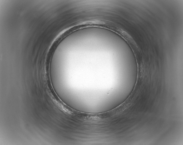 X0000078880784200612042023