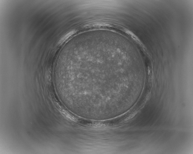 X0000078880785200612042023