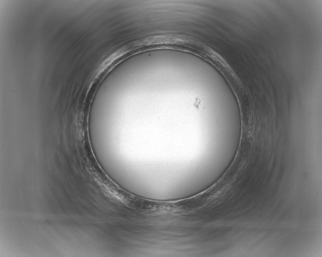 X0000078880786200612042023