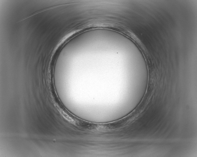 X0000078880787200612042023