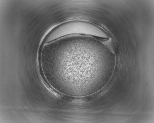 X0000078880788200612042023