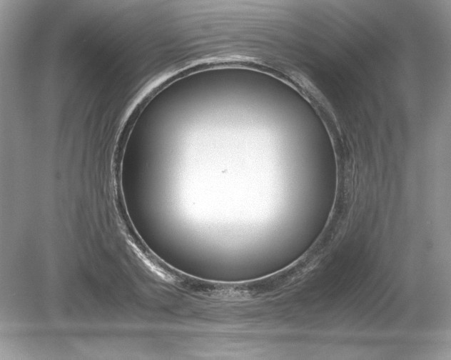 X0000078880789200612042023