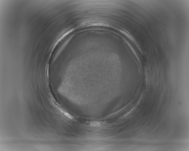 X0000078880790200612042023