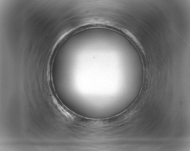 X0000078880791200612042023