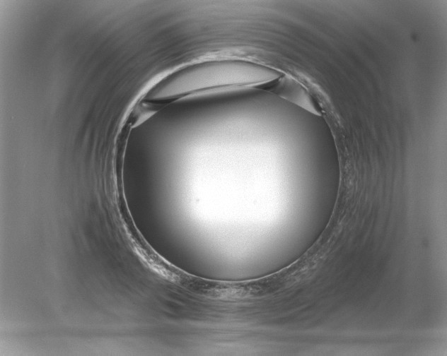 X0000078880792200612042023