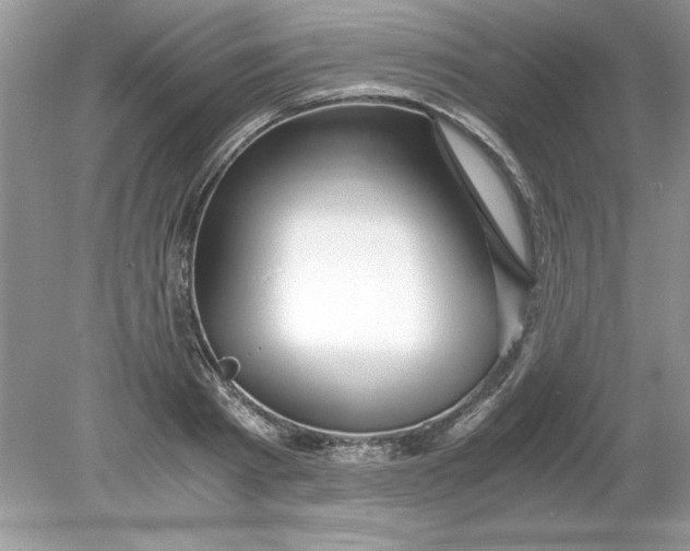 X0000078880793200612042023