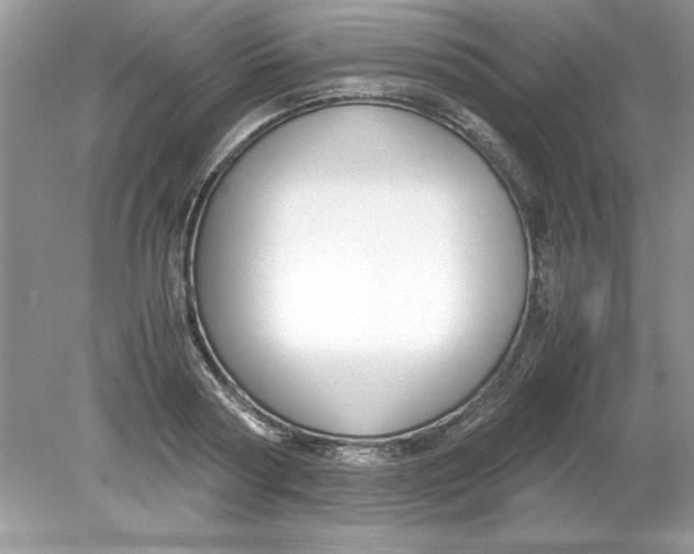 X0000078880794200612042023