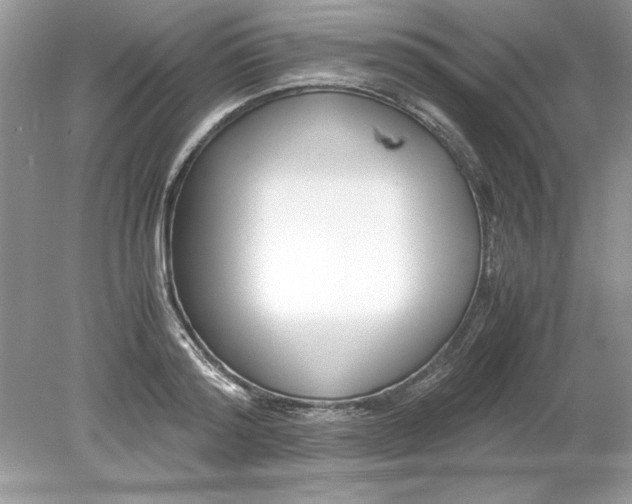 X0000078880796200612042023