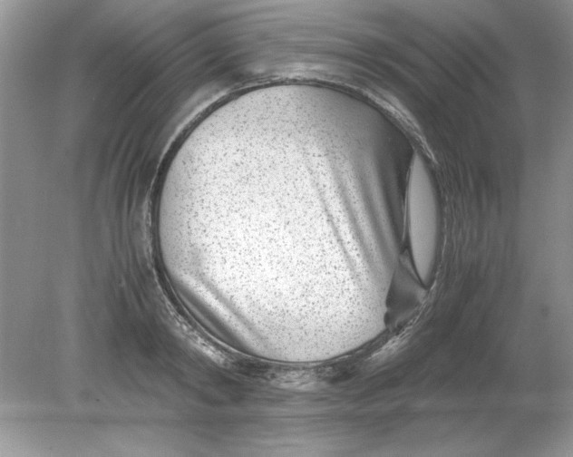 X0000078880798200612042023