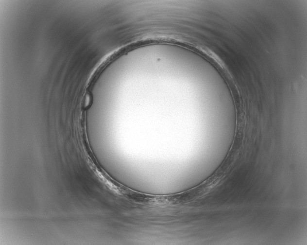 X0000078880799200612042023