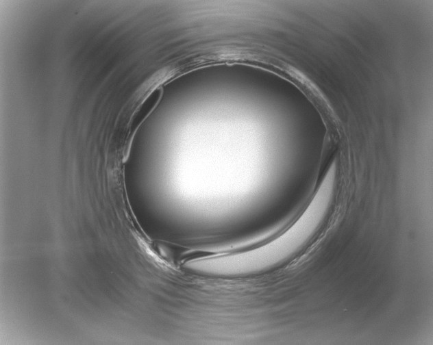 X0000078880801200612042023