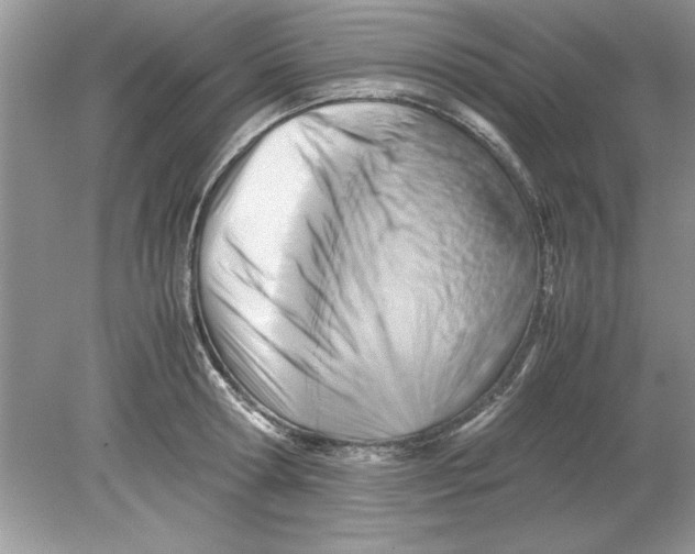 X0000078880802200612042023