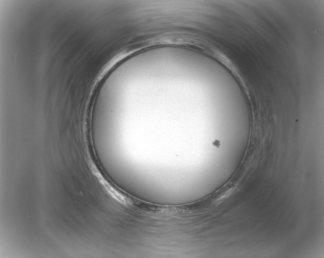 X0000078880803200612042023