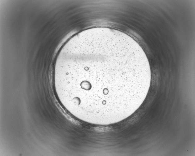 X0000078880804200612042023