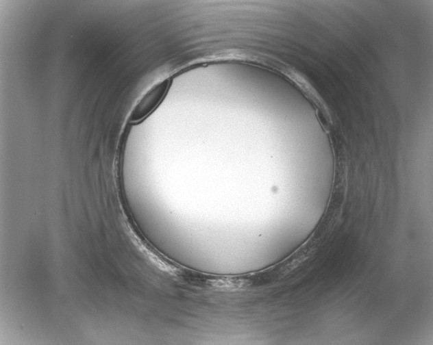 X0000078880805200612042023