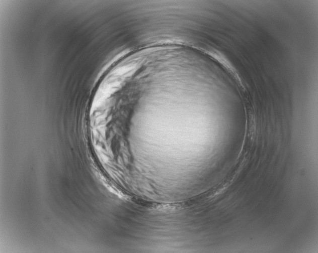 X0000078880806200612042023