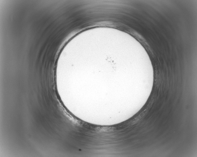 X0000078880808200612042022