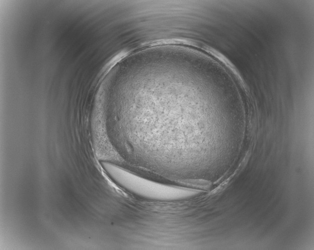 X0000078880809200612042022