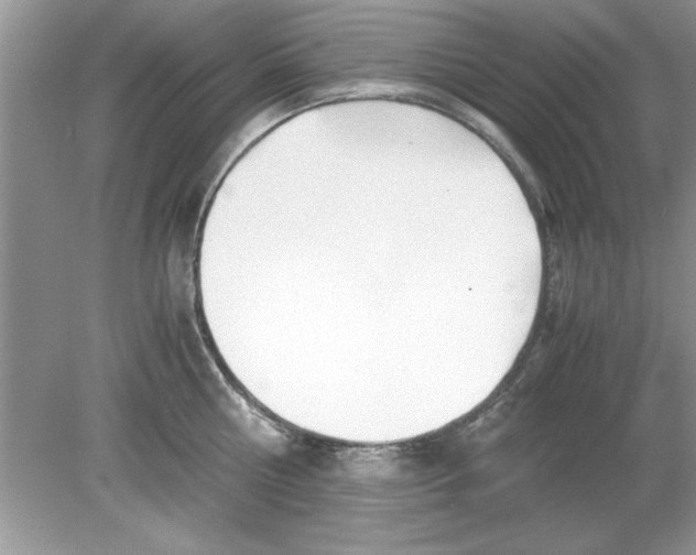 X0000078880810200612042022