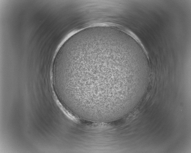 X0000078880811200612042022