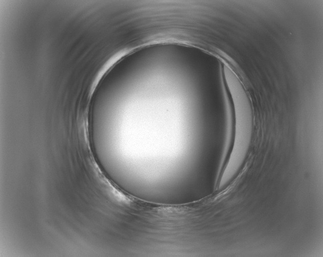 X0000078880812200612042022